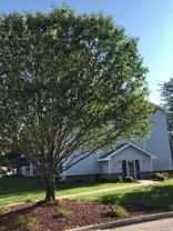 Country Court Apartments - Photo 1 of 1