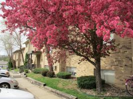 featured image of 7715 Hickman Rd