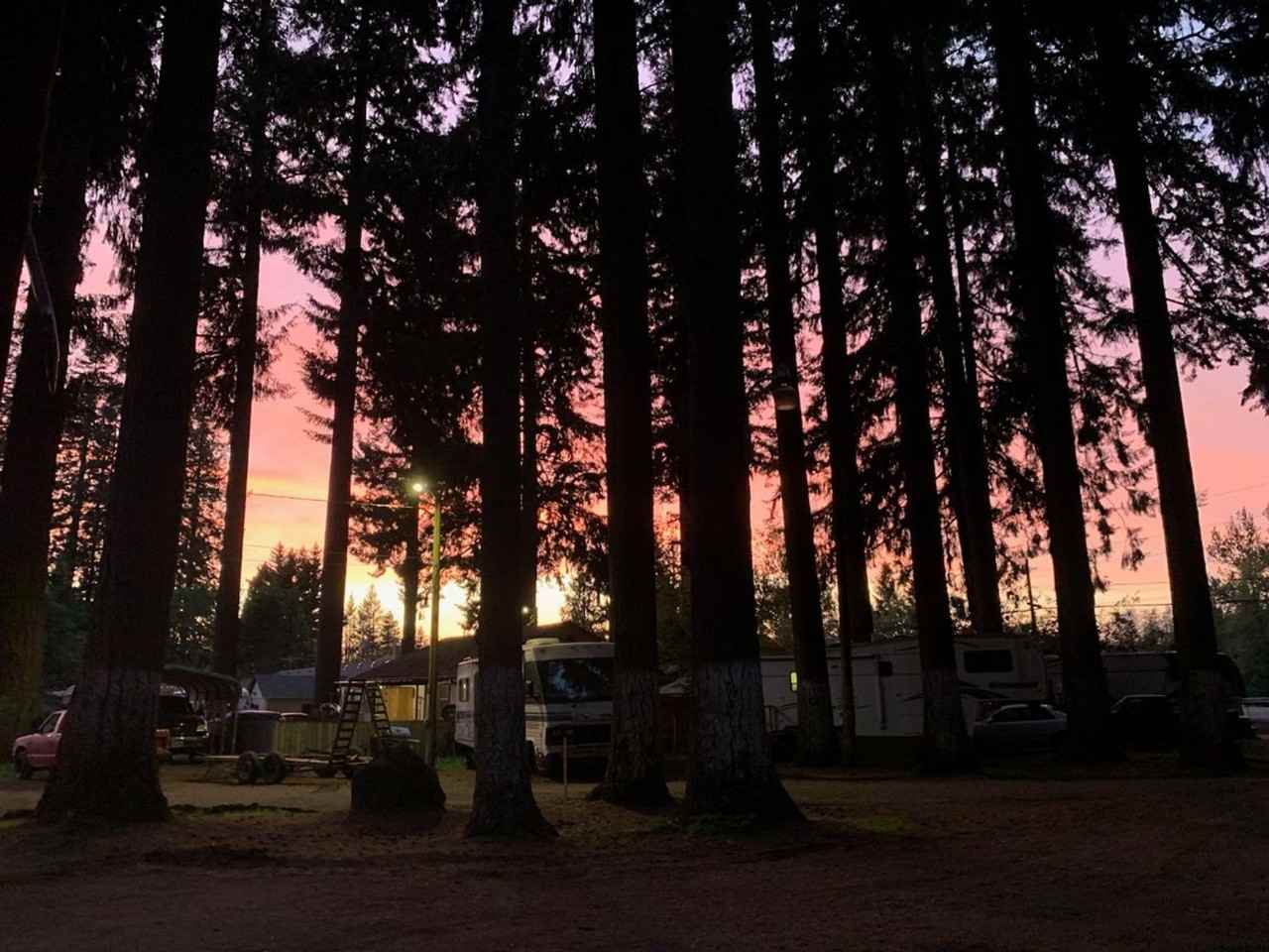Bigfoot MHP LLC - Photo 5 of 13
