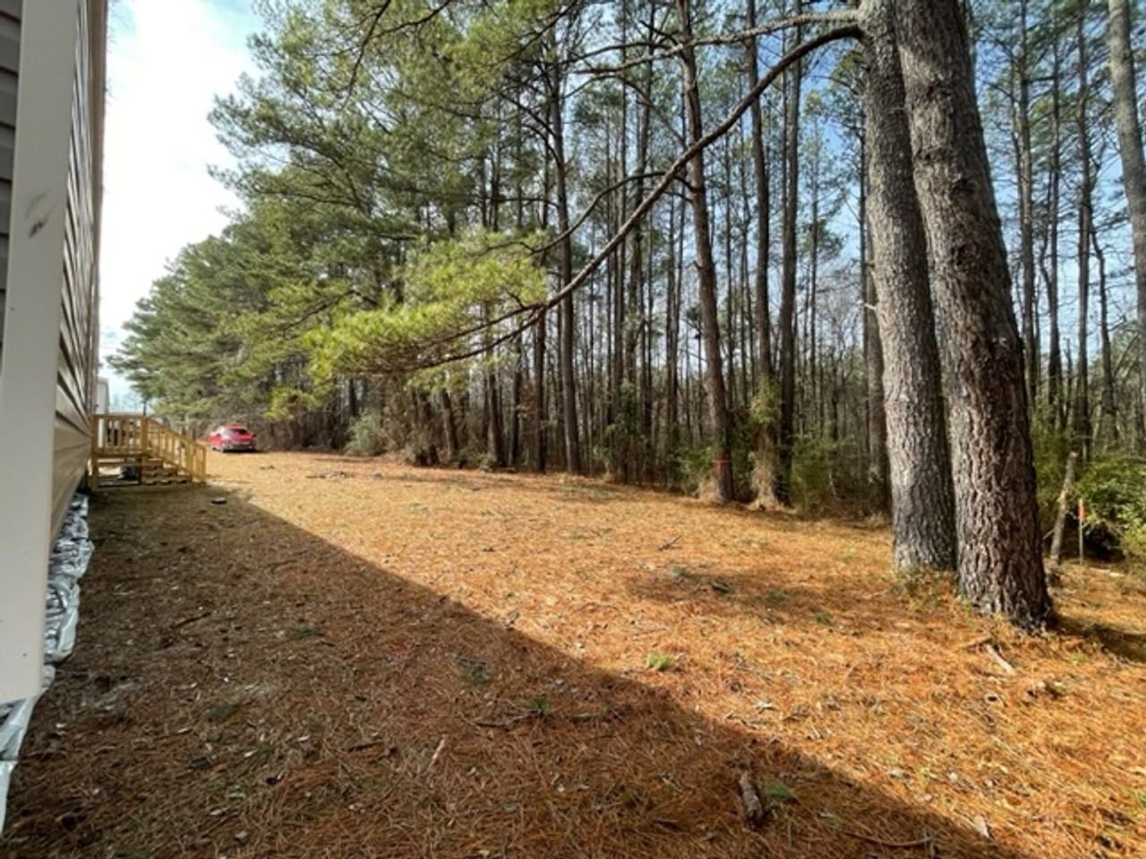 103 Arthur Lucius Ln - Photo 5 of 38