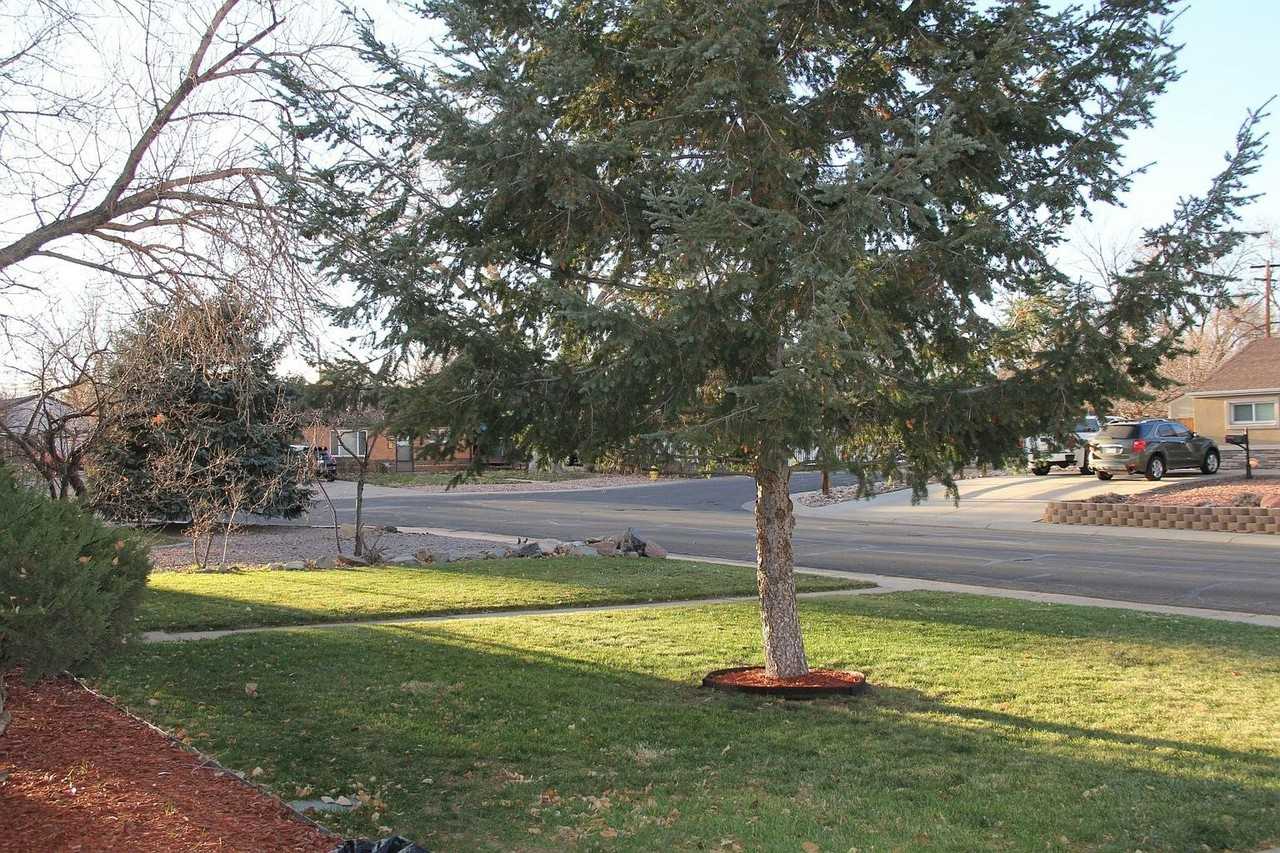 1870 Gail Court - Photo 2 of 19