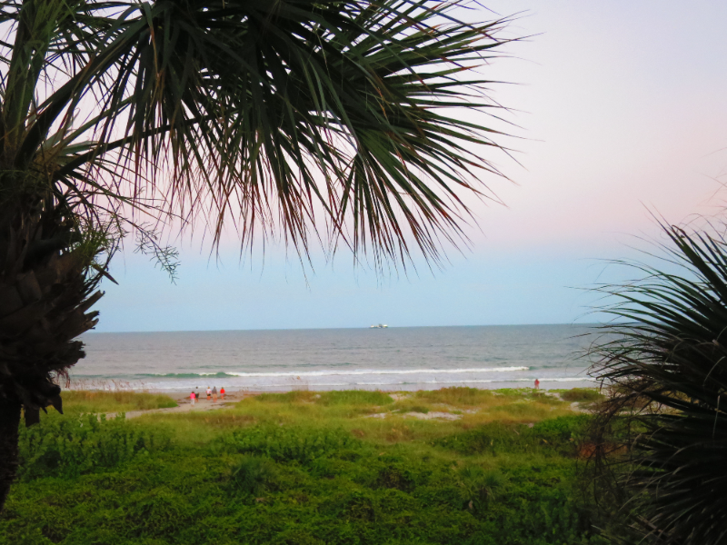 3150 N Atlantic Ave #770-19 - Photo 2 of 14