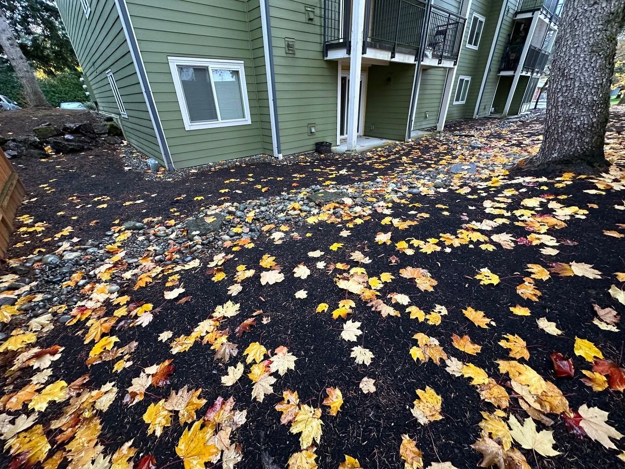 12511 Se 41st Pl - Photo 3 of 14