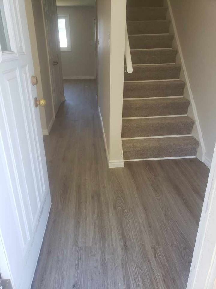 4 Gilbert Street - Photo 3 of 12