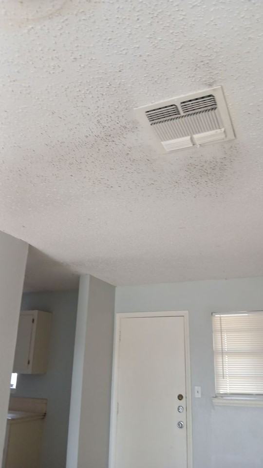 Mercedes Portfolio - Photo 3 of 19