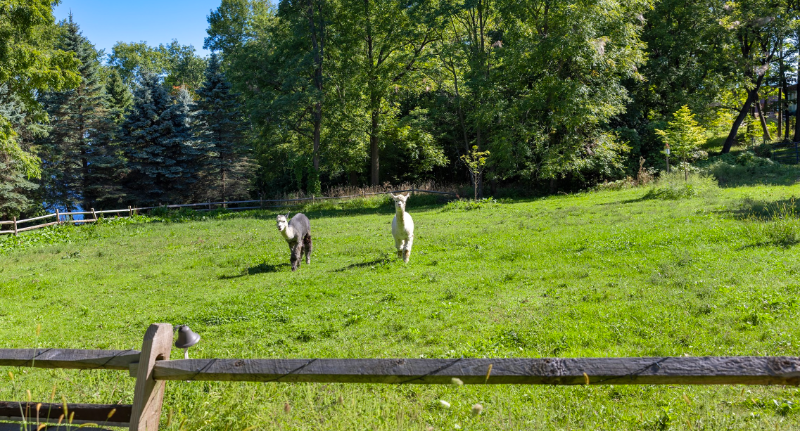 2226 Lakeshore Rd - Photo 2 of 12