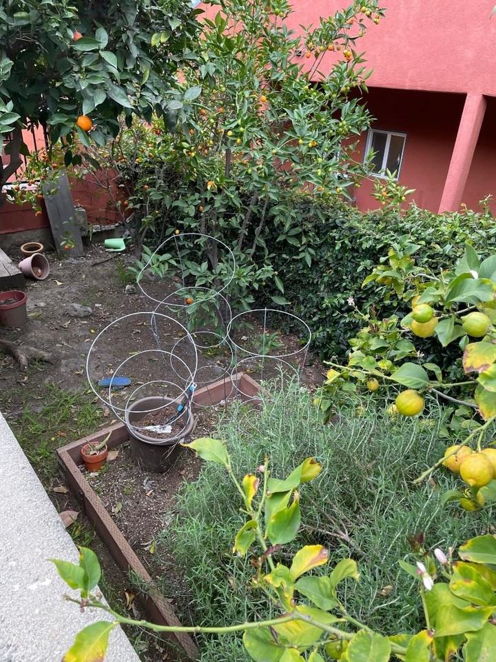 951-955 Hyperion Avenue - Photo 4 of 4