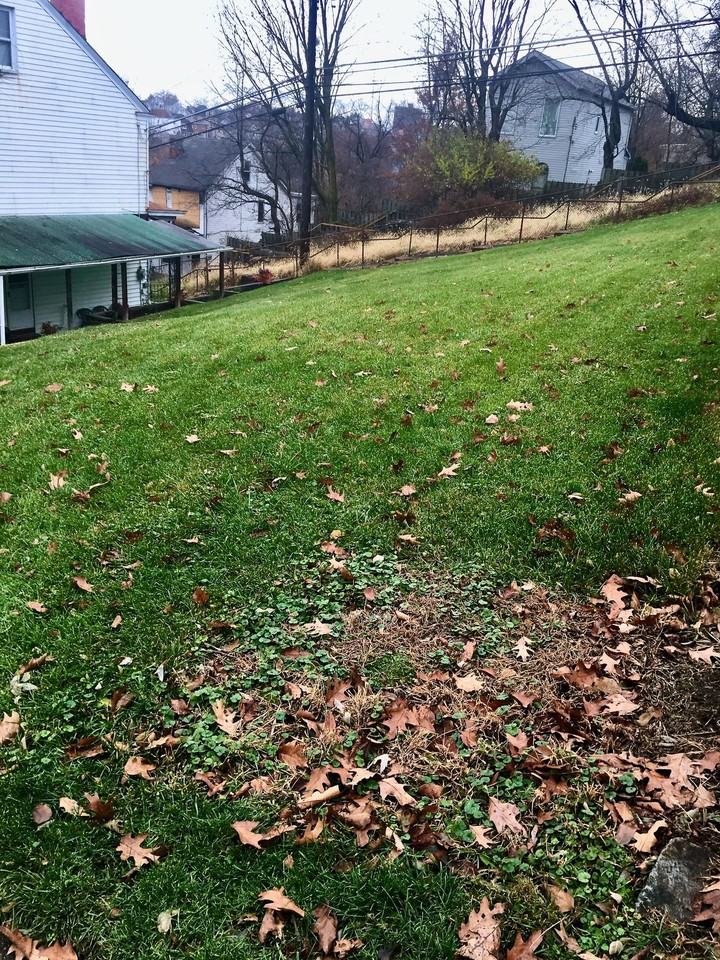 1407 Virginia Ave - Photo 7 of 26