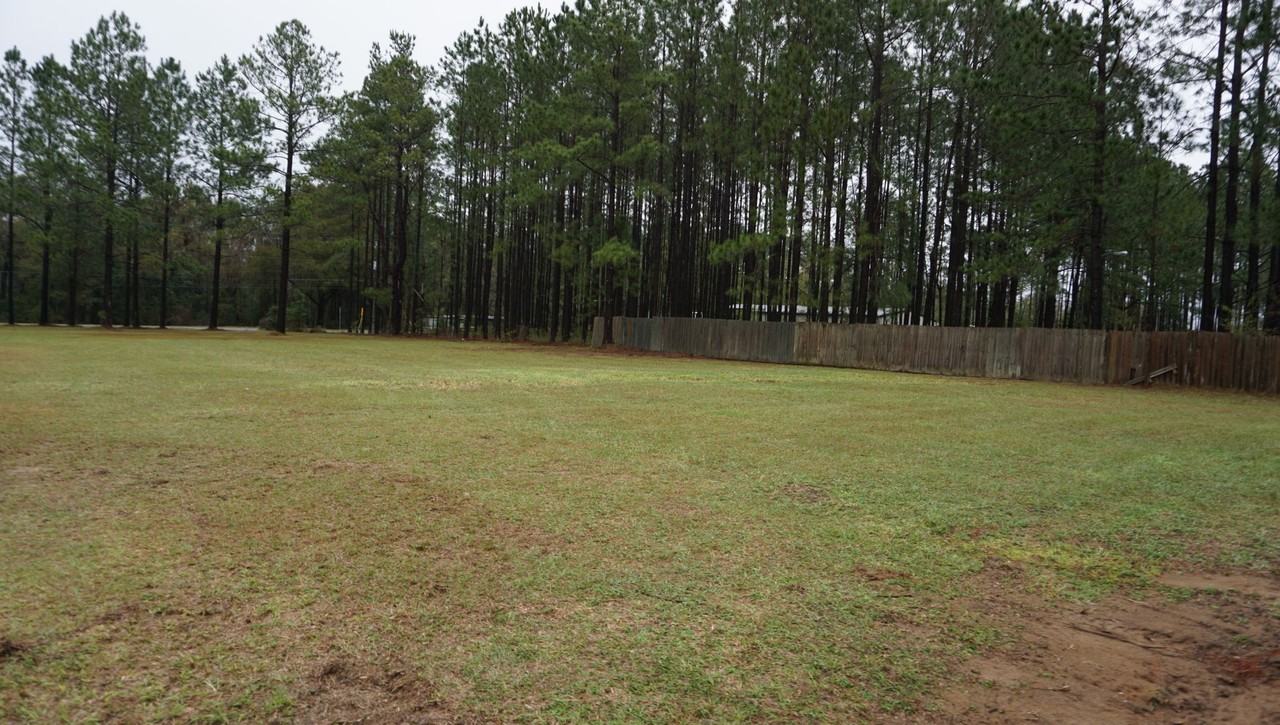 1423 Ga Highway 376 - Photo 2 of 20