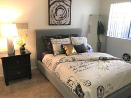 featured image of SUMMER GLEN