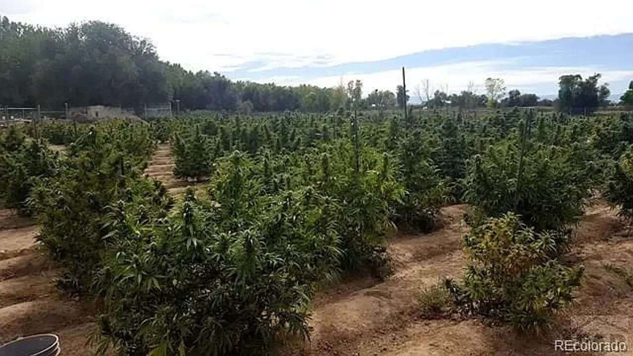 2204 Hickory St - Photo 3 of 19