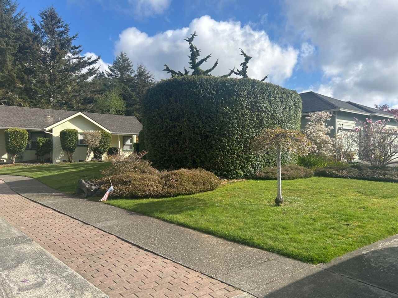 5655 Christine Dr - Photo 2 of 50