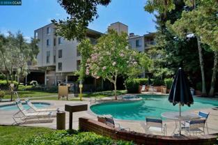 320 North Civic Drive #503 - Photo 1 of 1