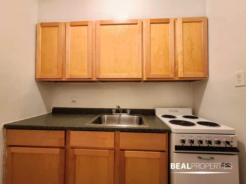 536 West Arlington Place - Photo 6 of 9