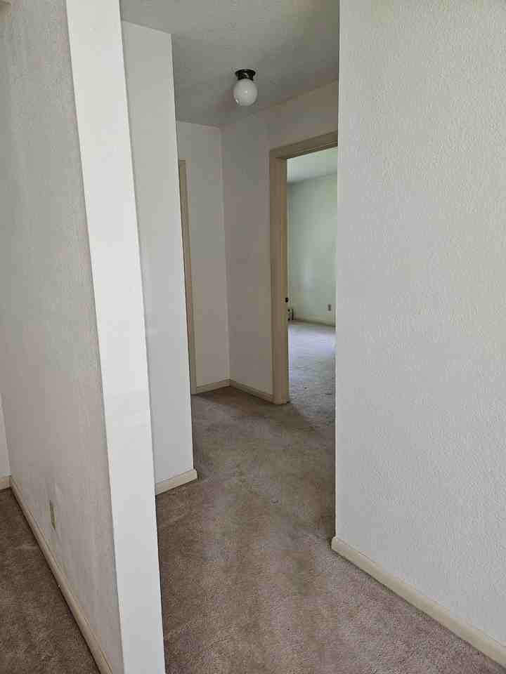 430 Spring St #1 - Photo 4 of 9