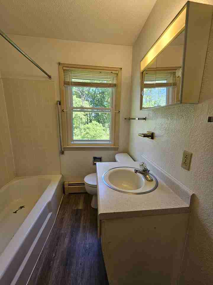 430 Spring St #1 - Photo 5 of 9