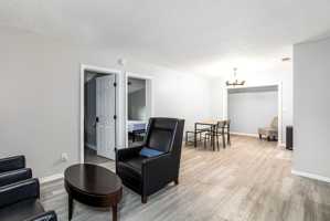 featured image of Peter Rabbit Dr N