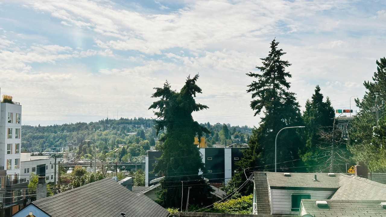 The Shannon Apartments - Photo 6 of 8