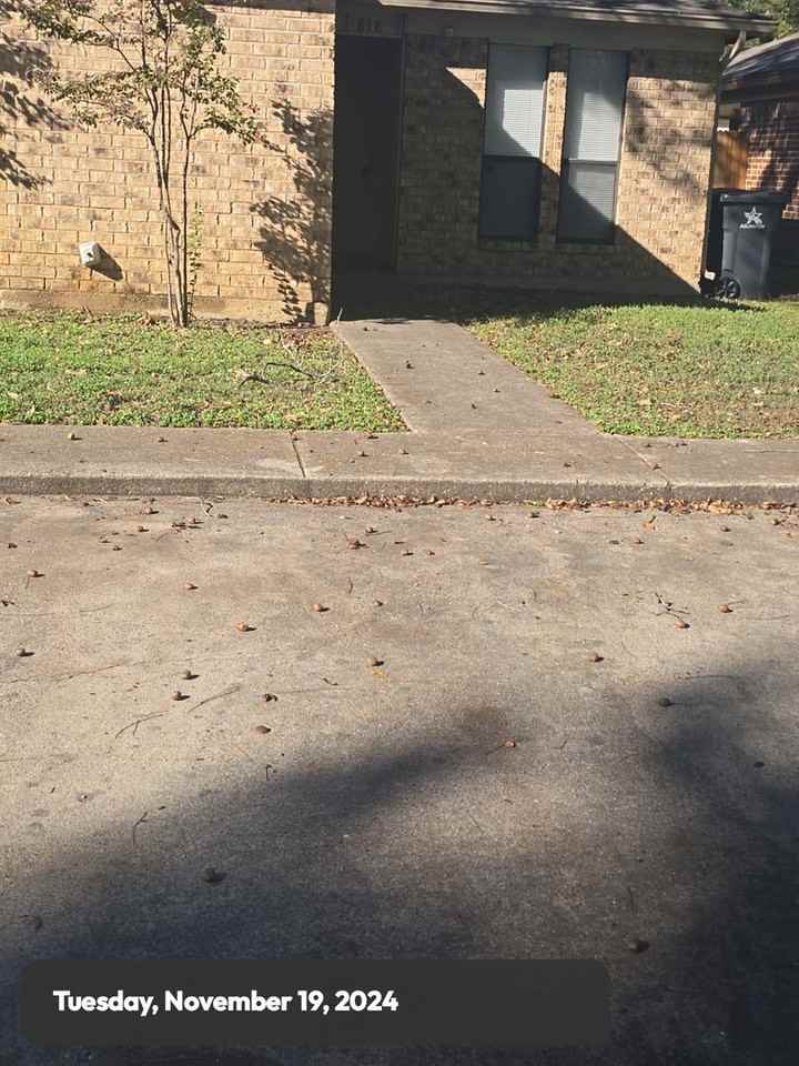 818 Lost Forest Dr - Photo 2 of 15