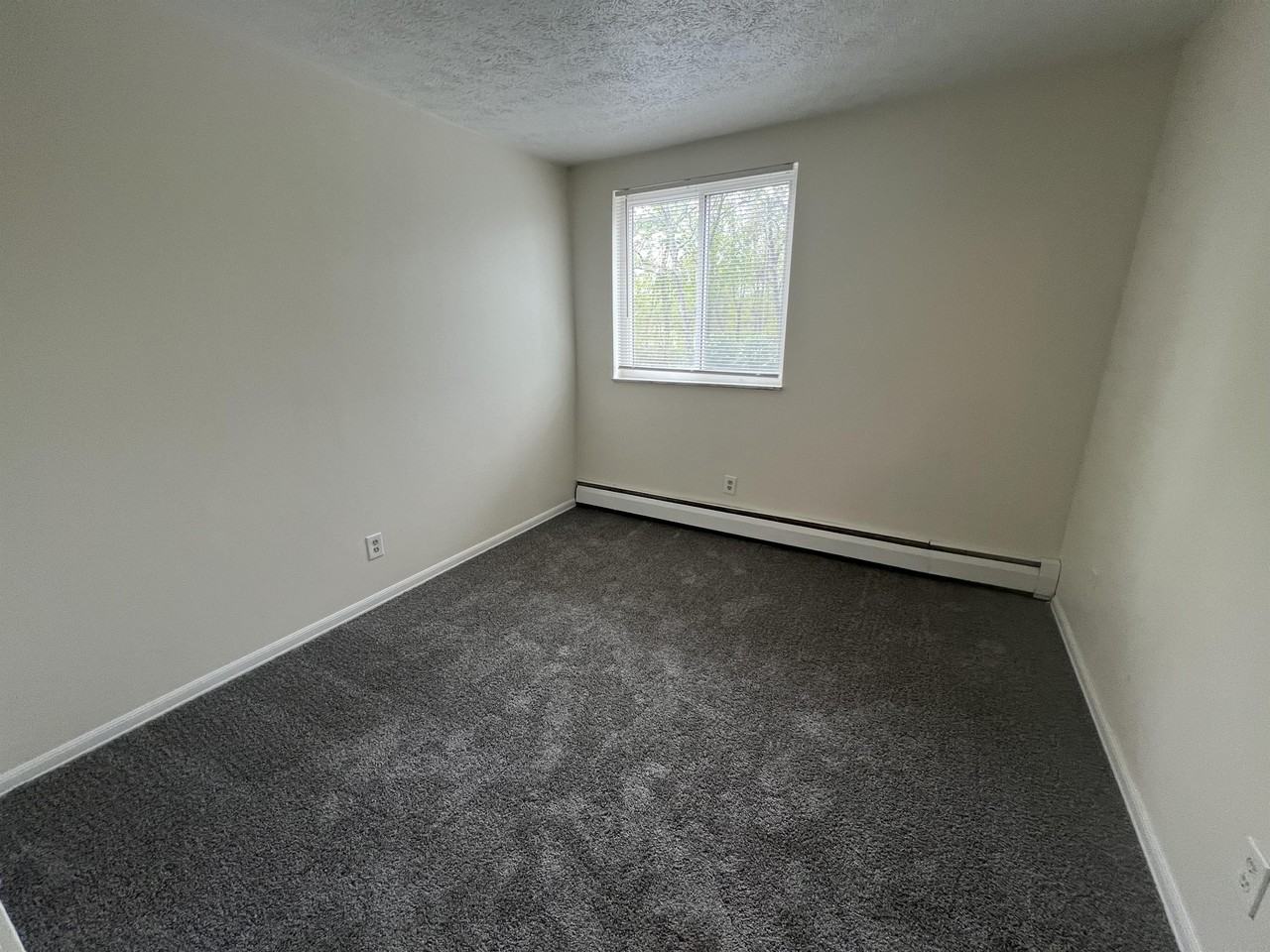 Cheviot Road 6285 - 45247 - Photo 7 of 16