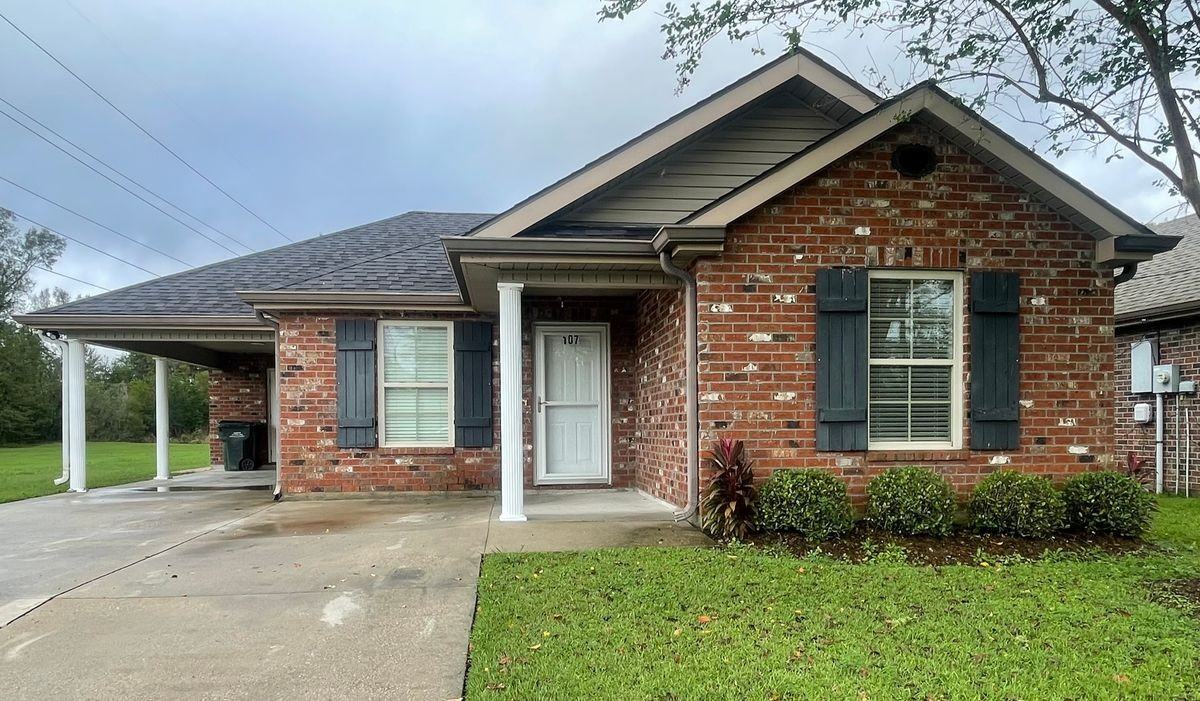107 Amber Beth Ct - Photo 3 of 15