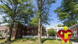 Newly Renovated Apt Across from City Hall - Photo 1 of 1