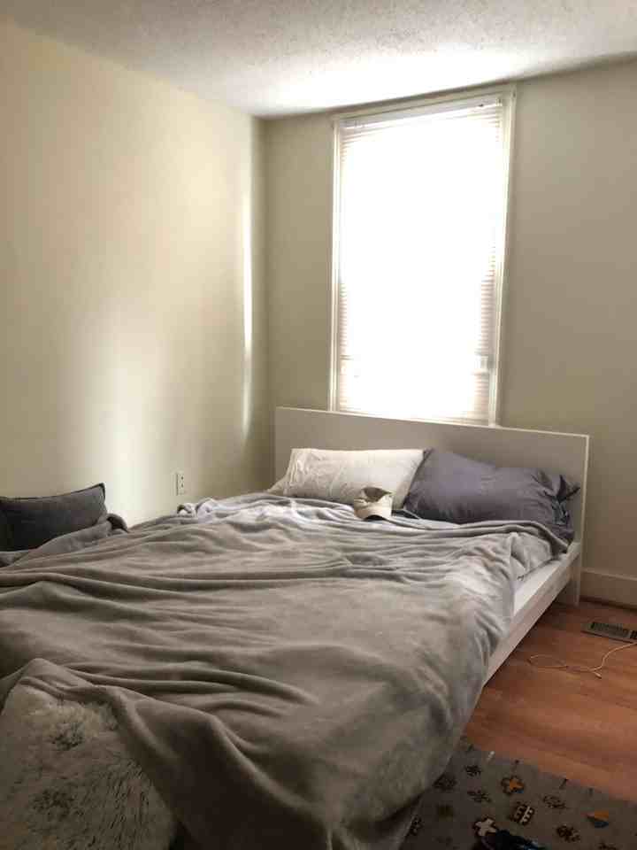 397 Crown St - Photo 7 of 20