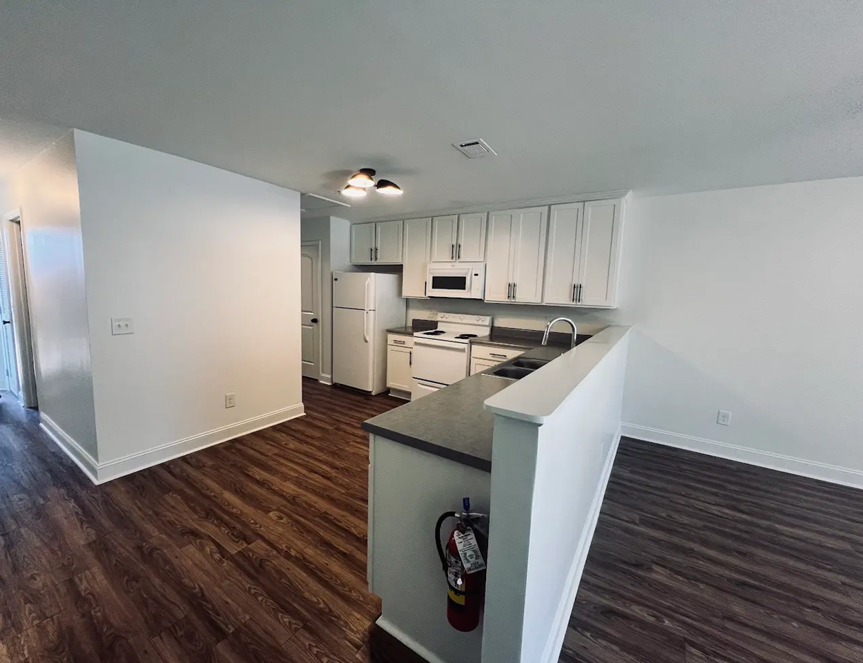 509 Geneva St - Photo 3 of 6