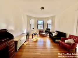 featured image of 225 Chestnut Hill Ave #1