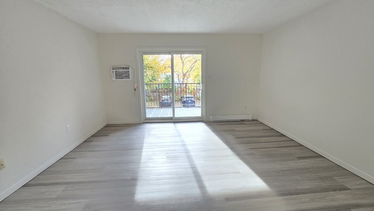 339 Blake Street #7 - Photo 2 of 18