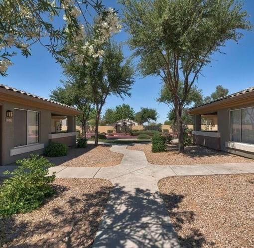 Desert Sage - Photo 5 of 13