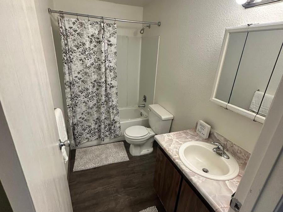 5031 West Clearwater Avenue - Photo 6 of 11