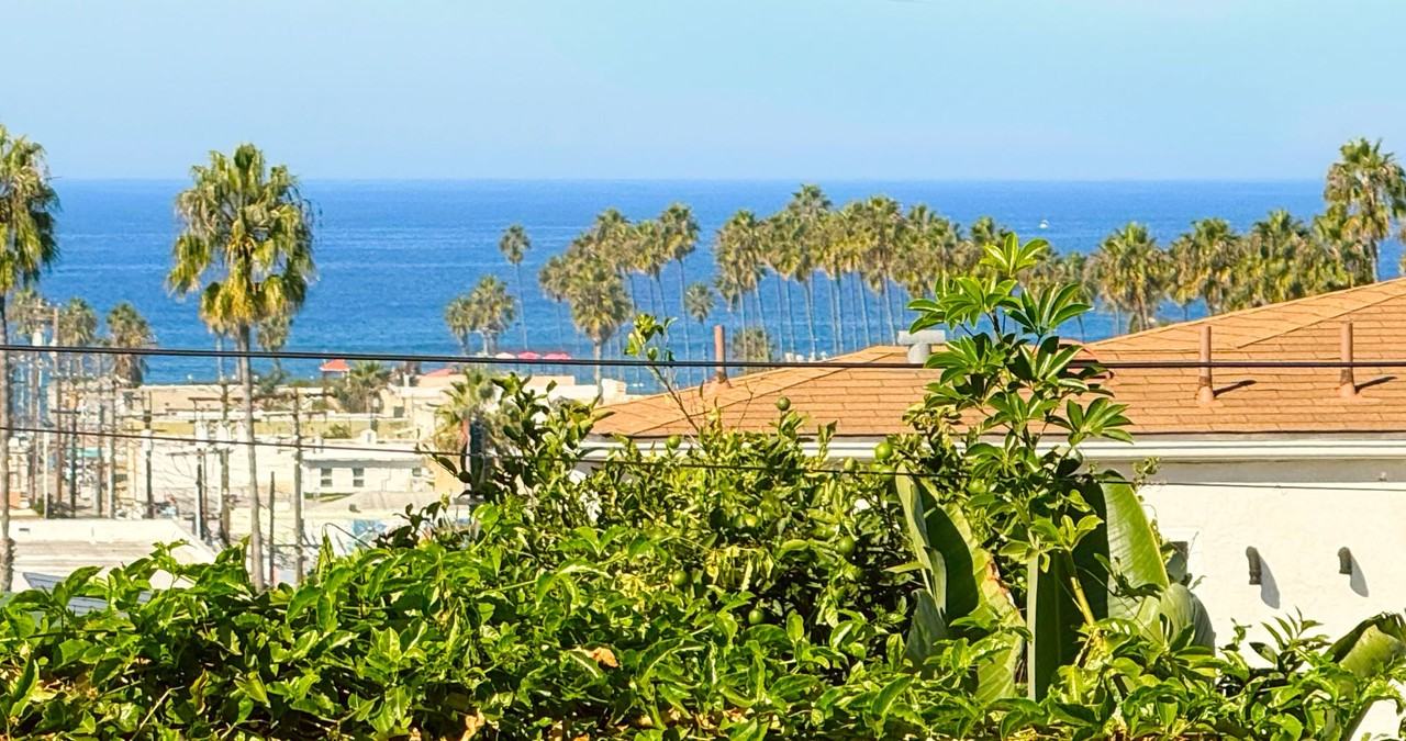 4650-60 Niagara Ave - Photo 6 of 31