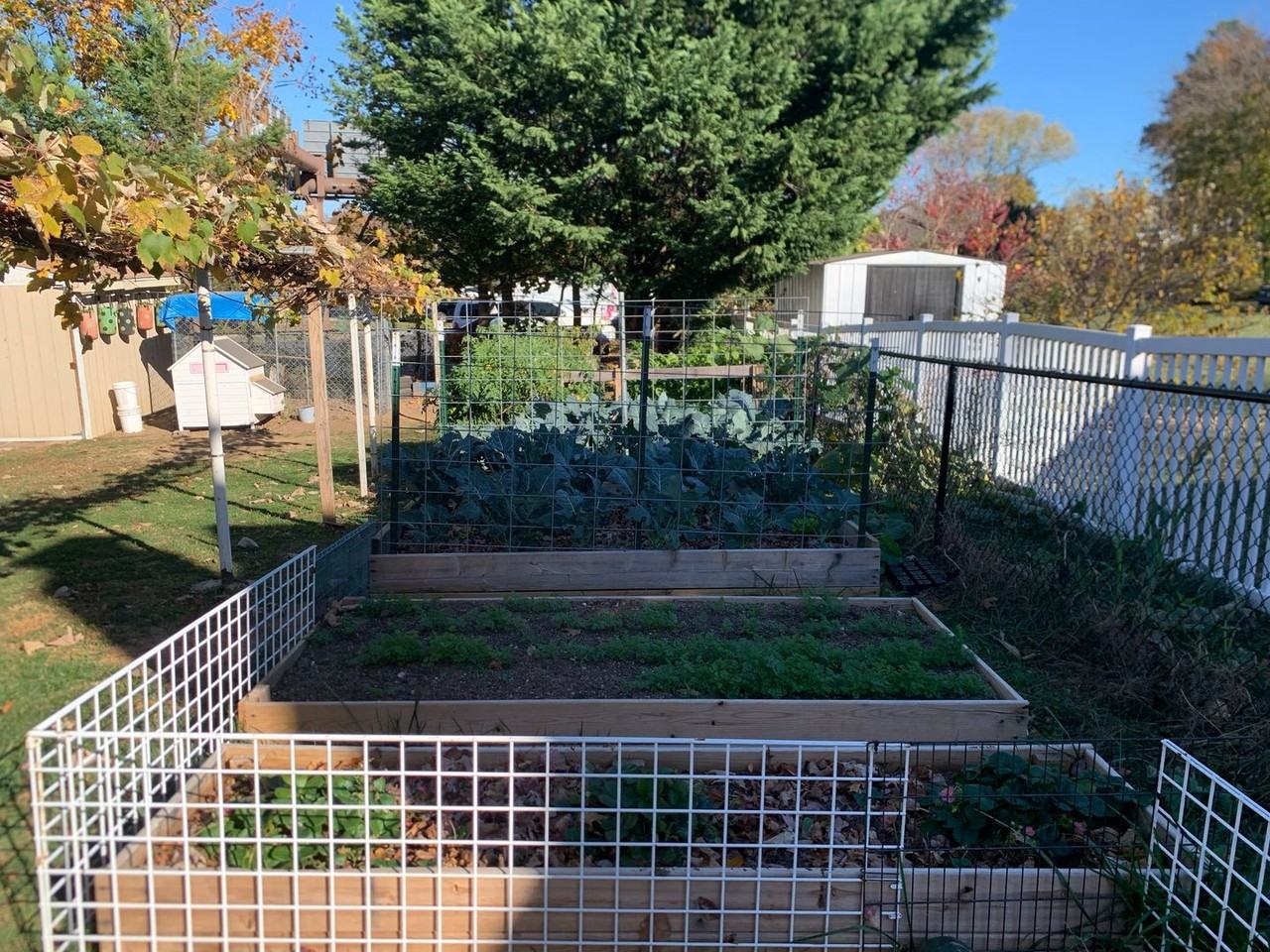 2721 Ironstone Hill Rd - Photo 5 of 17