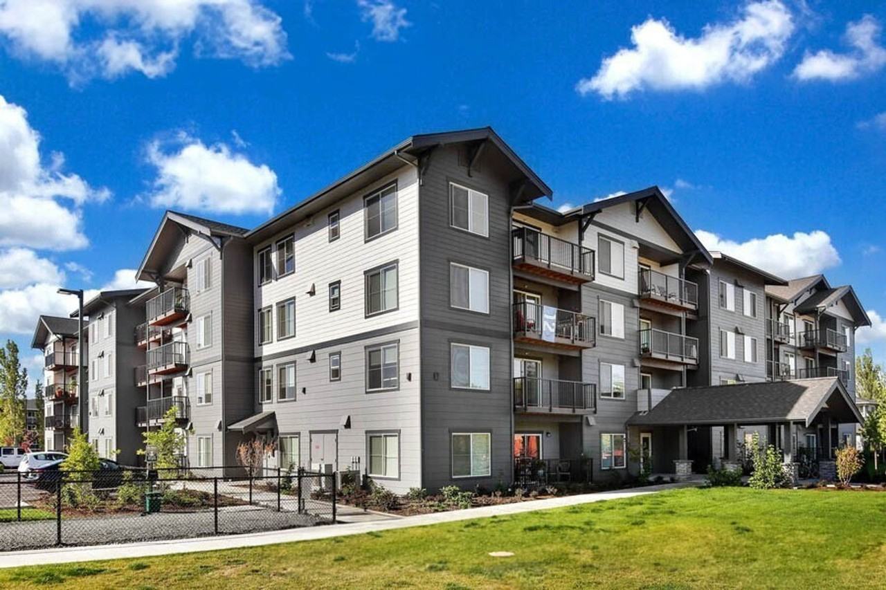 Francis Park - Photo 3 of 48