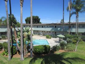 The Palms - Photo 1 of 1