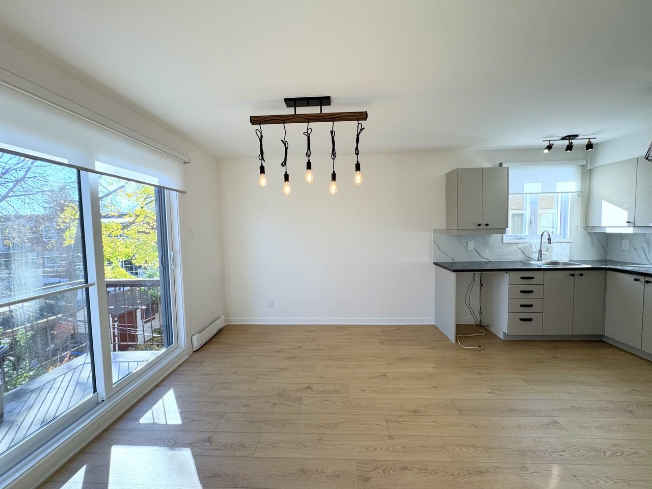 8454 Rue Sherbrooke Est - Photo 3 of 20