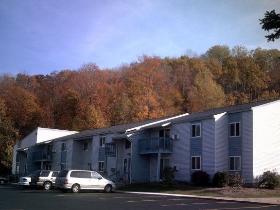 Traverse Woods - Photo 3 of 17