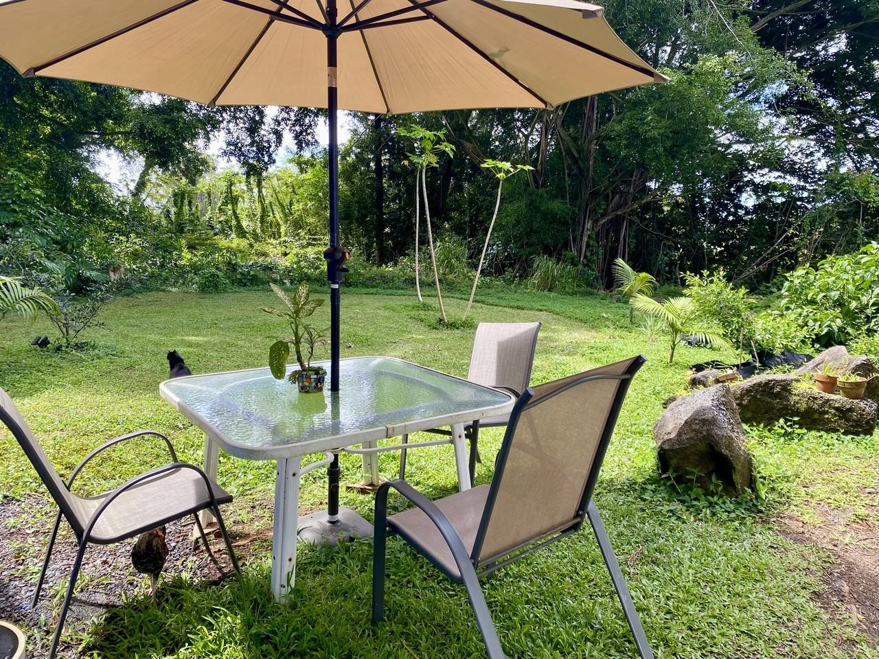 29th Ave #C - Photo 4 of 24