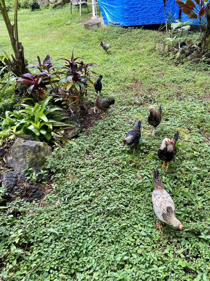 29th Ave #C - Photo 5 of 24