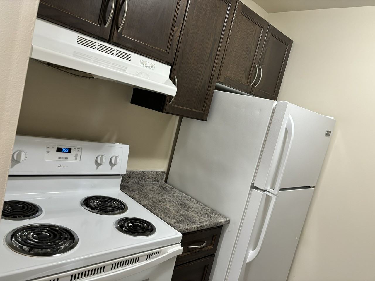 225 210-225 Old Carraige Drive #210 - Photo 3 of 12