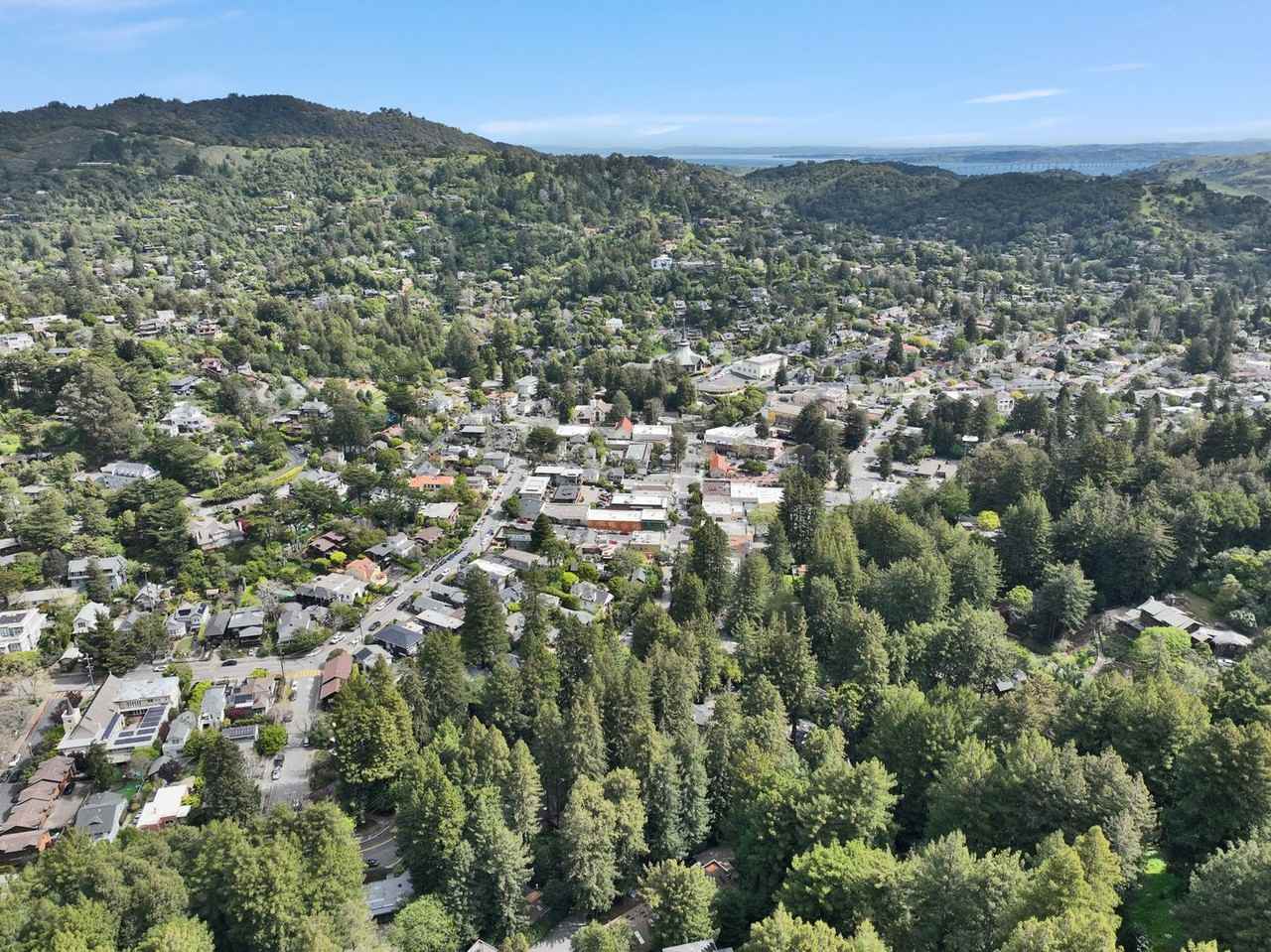 12 Molino Ave - Photo 3 of 41