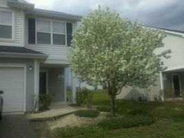 featured image of 191 Southfield Dr