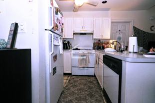 62 Egmont St #2 - Photo 1 of 1