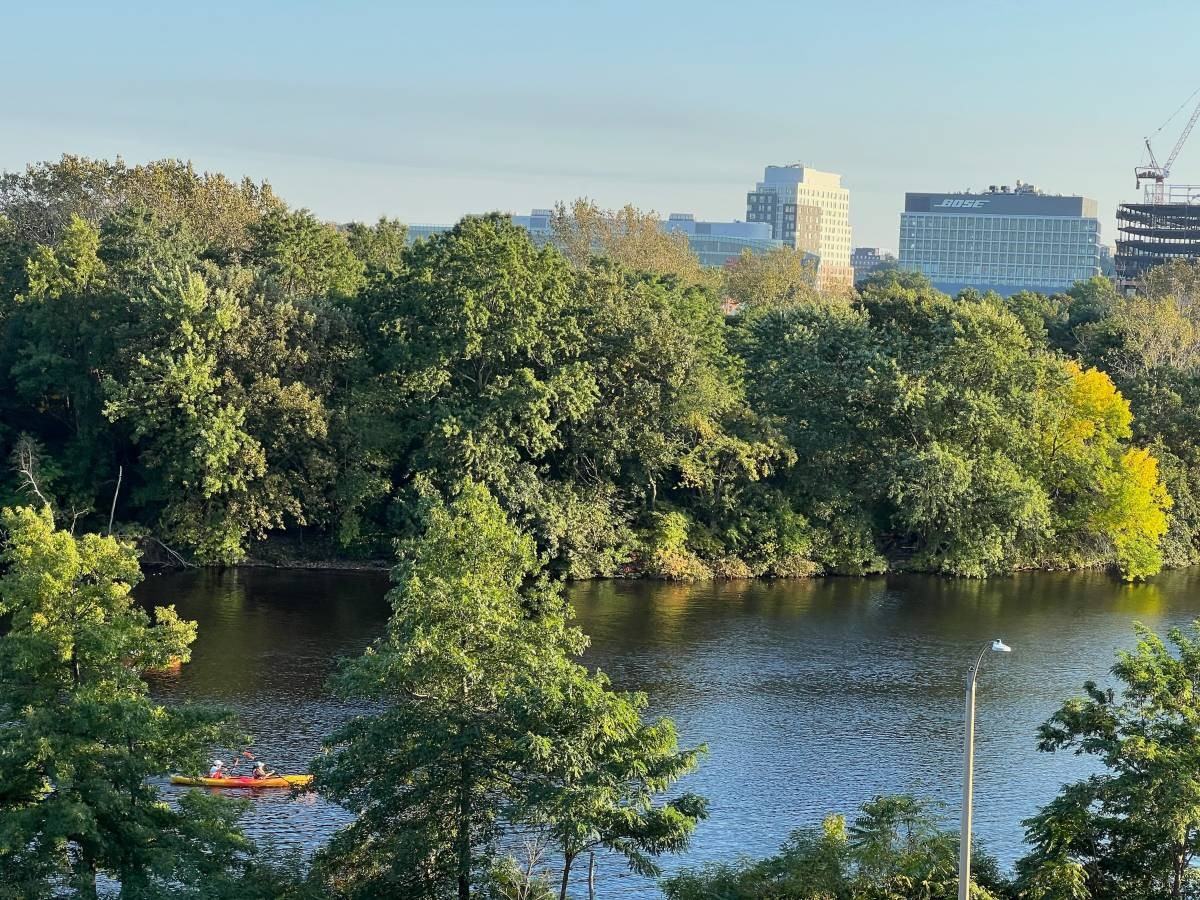 227 Coolidge Avenue #211 - Photo 6 of 13