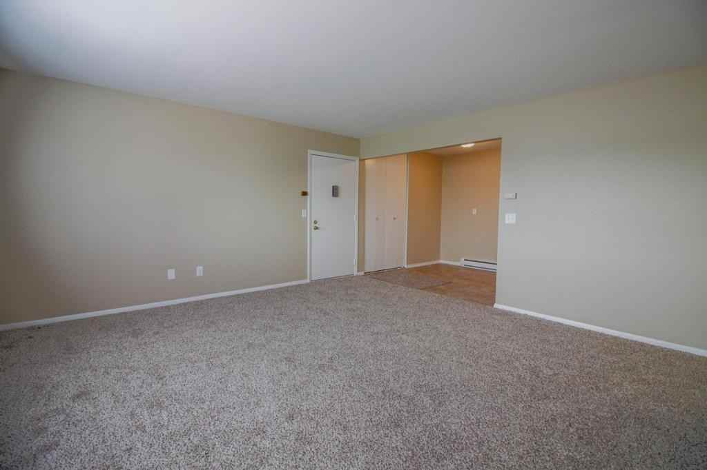 210 S Division St - Photo 4 of 17