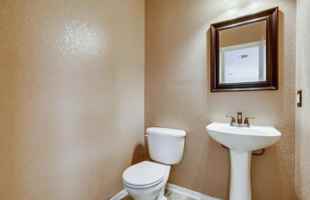 featured image of Stallion Cv