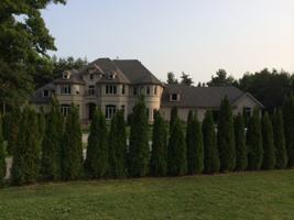 featured image of 23 Cranborne Chase