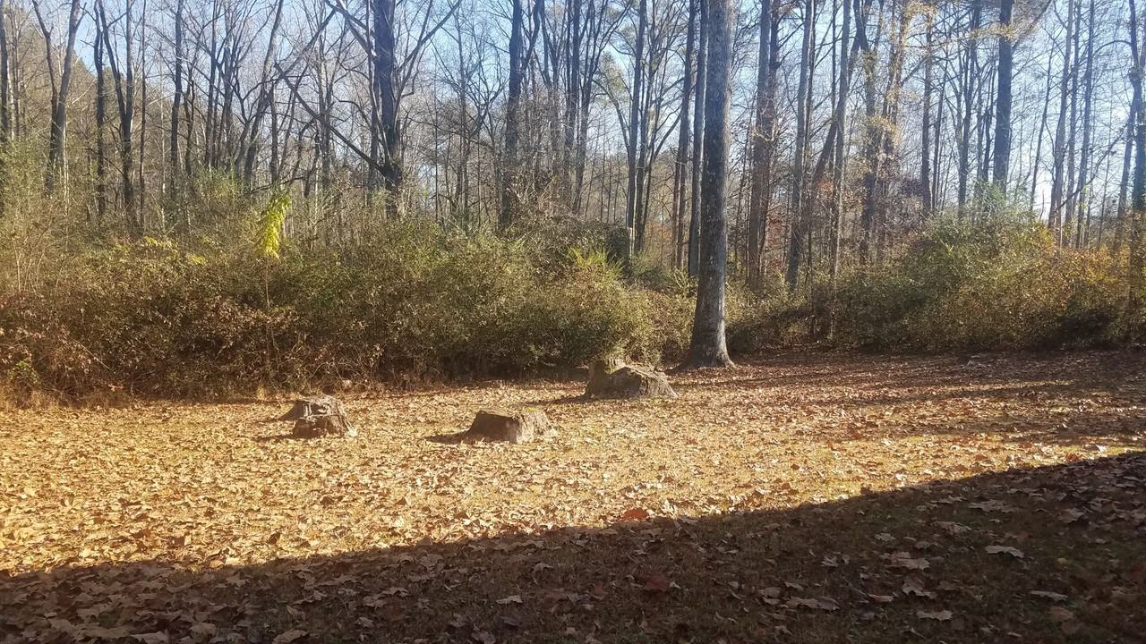 2804 Candler Run Sw - Photo 5 of 8