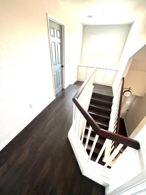 11808 Letini Dr - Photo 7 of 11
